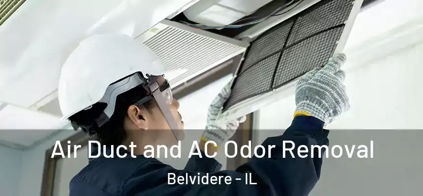  Air Duct and AC Odor Removal Belvidere - IL