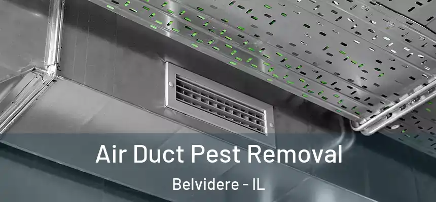 Air Duct Pest Removal Belvidere - IL