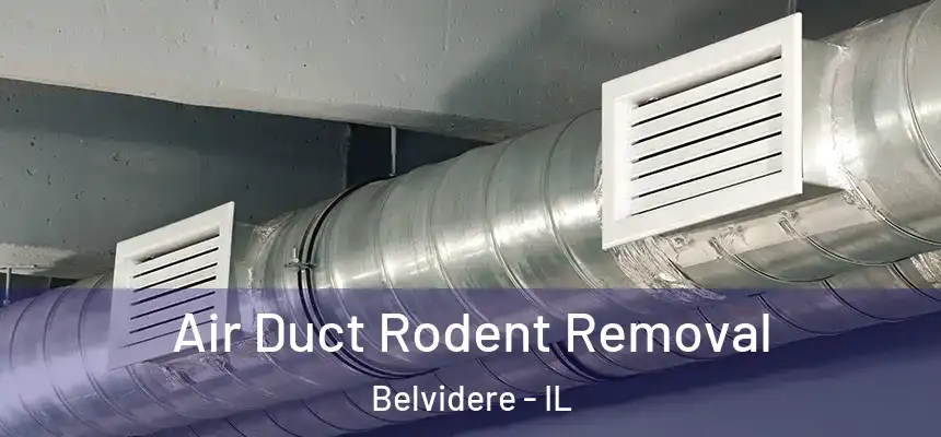  Air Duct Rodent Removal Belvidere - IL