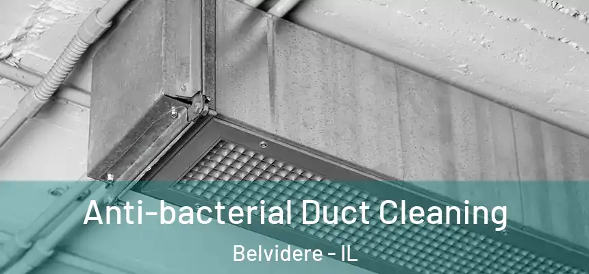 Anti-bacterial Duct Cleaning Belvidere - IL