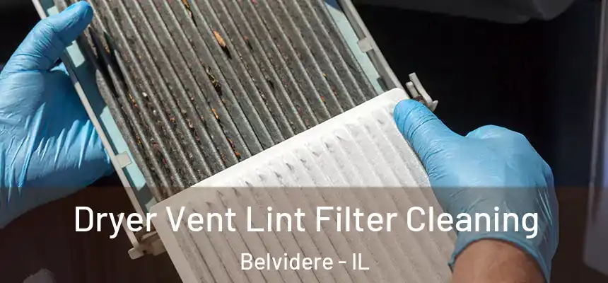 Dryer Vent Lint Filter Cleaning Belvidere - IL