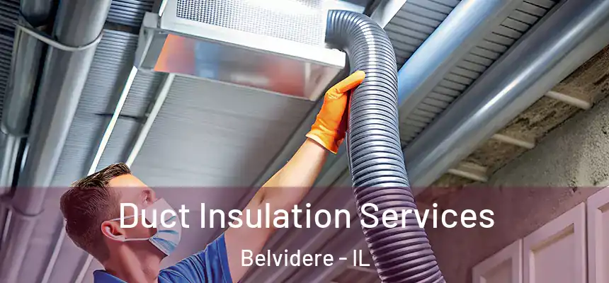 Duct Insulation Services Belvidere - IL