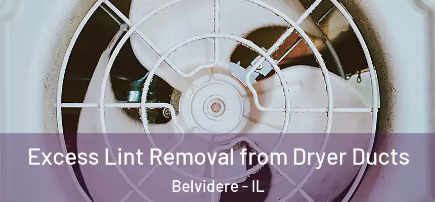  Excess Lint Removal from Dryer Ducts Belvidere - IL
