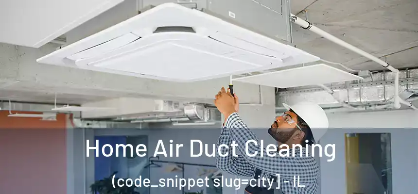  Home Air Duct Cleaning (code_snippet slug=city] - IL