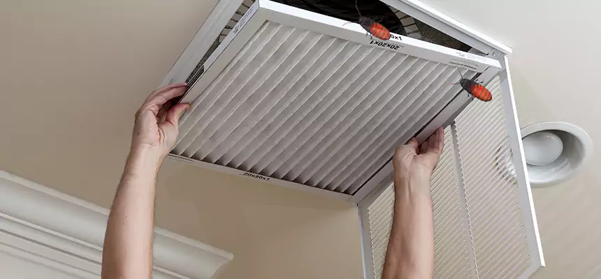 Preventive Cockroach-Proofing for Ducts in Belvidere