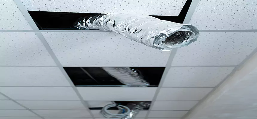 Our Air Duct Pet Hair Removal Services in Belvidere, IL