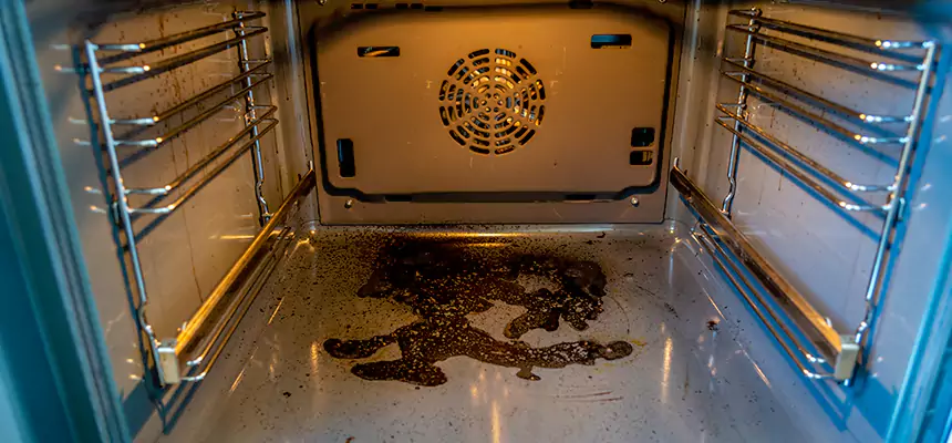 Our Dryer Vent Mold Cleaning Services in Belvidere, IL