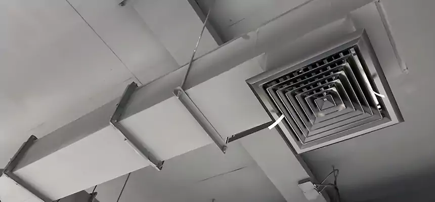 Our Rodent Droppings In Vents Services in Belvidere, IL