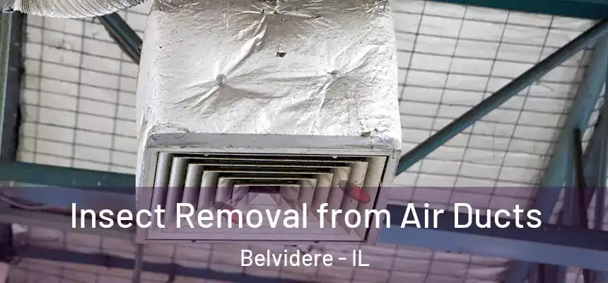  Insect Removal from Air Ducts Belvidere - IL