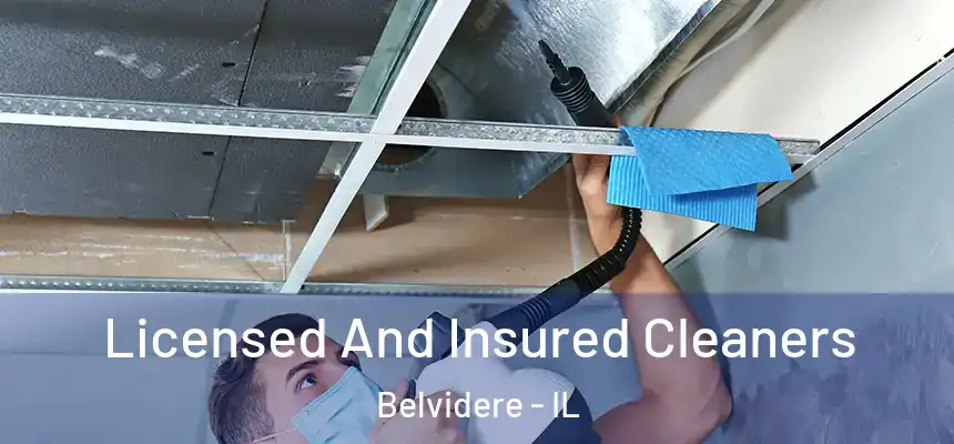 Licensed And Insured Cleaners Belvidere - IL