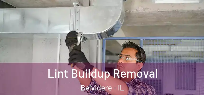 Lint Buildup Removal Belvidere - IL