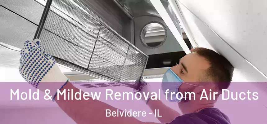 Mold & Mildew Removal from Air Ducts Belvidere - IL