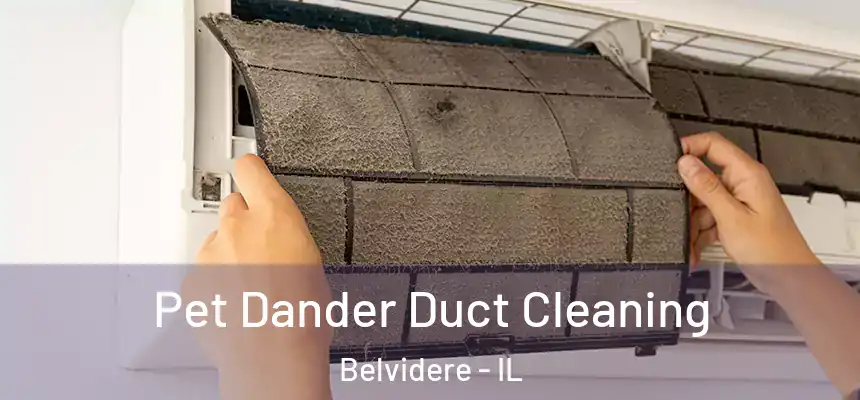 Pet Dander Duct Cleaning Belvidere - IL
