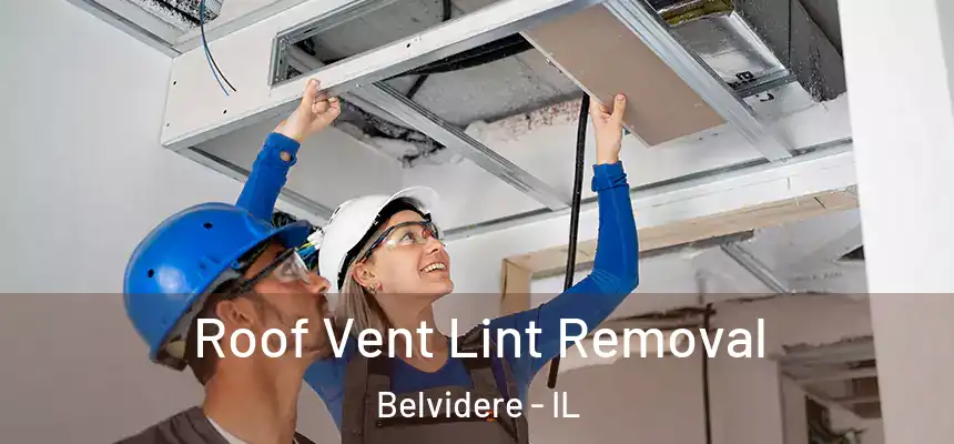 Roof Vent Lint Removal Belvidere - IL