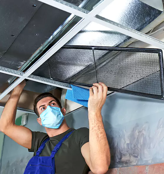 Professional Air Duct Pollen Cleaning in Belvidere, IL
