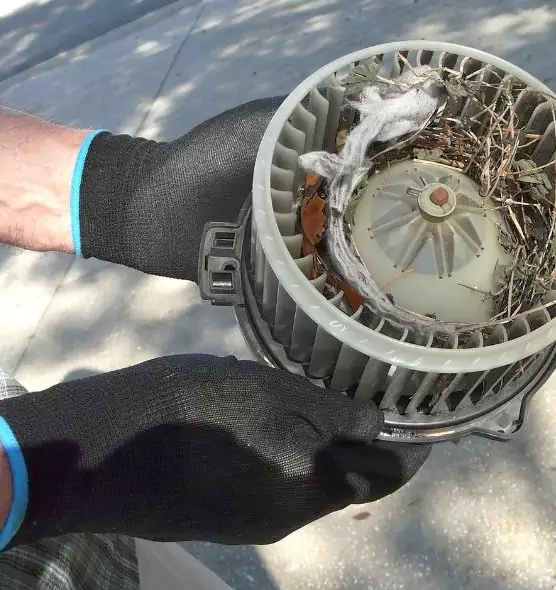 About Air Duct Rat Removal in Belvidere, IL