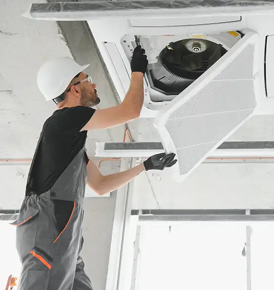 About Air Duct Rodent Removal in Belvidere, IL