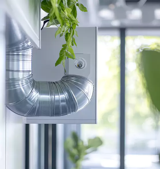 Professional Eco-Safe Dryer Vent Cleaning in Belvidere, IL