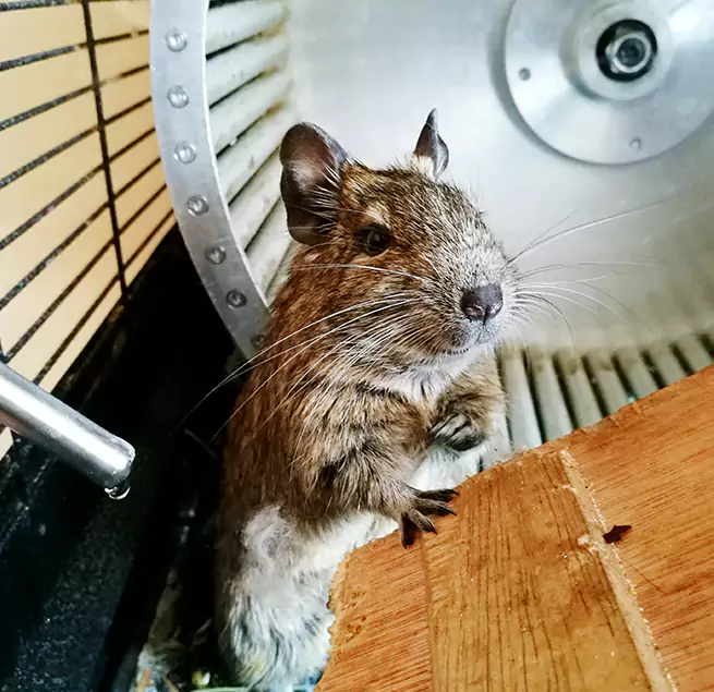 Why Homeowners & Businesses Trust Us Belvidere, IL