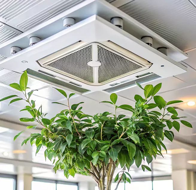 Why Homeowners & Businesses Trust Us in Belvidere, IL